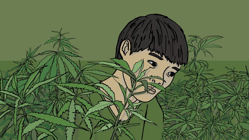Trata de personas: la impactante historia de un niño indigente de Vietnam que se convirtió en esclavo en una granja de marihuana en Reino Unido
