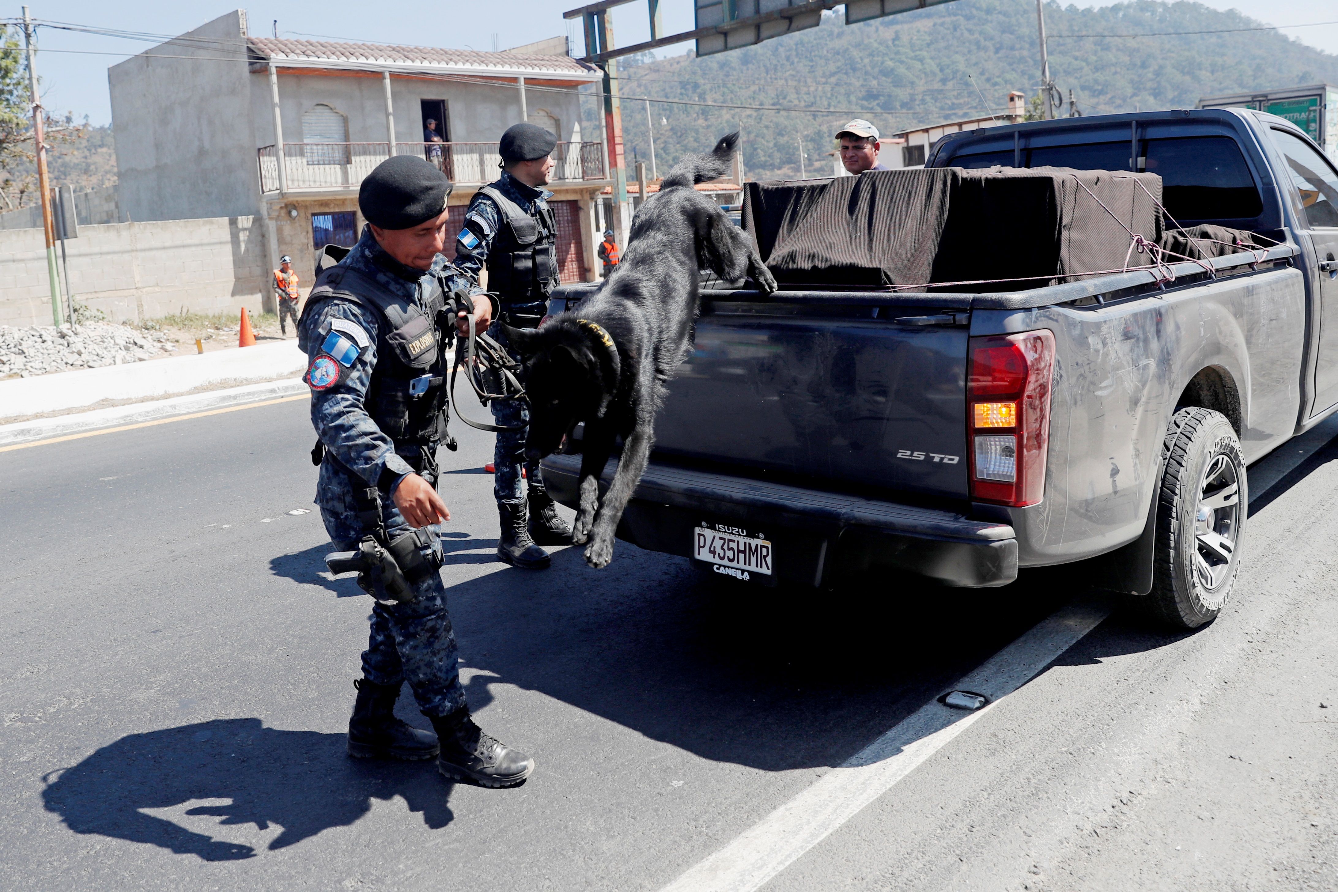 Un perro rastreador de drogas de la Policía Nacional Civil (PNC) baja de un vehículo inspeccionado en El Tejar, Chimaltenango. (Foto Prensa Libre: EFE).