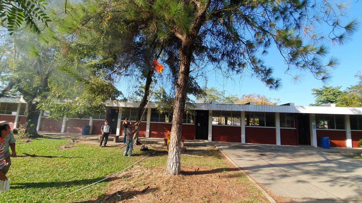 Bomberos y trabajadores del Área de Salud ahuyentan a las abejas. (Foto Prensa Libre: César Hernández)