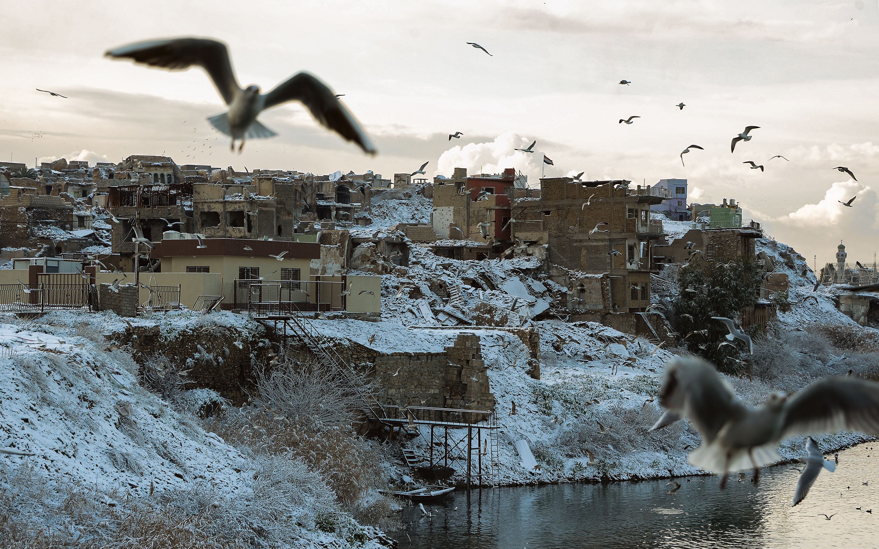 Gaviotas vuelan sobre el río Tigris, donde las banquetas están cubiertas con una fina capa de nieve en la ciudad de Mosul, una de las ciudades más calurosas del mundo. Fotografía Prensa Libre: AFP
