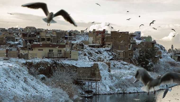 Gaviotas vuelan sobre el río Tigris, donde las banquetas están cubiertas con una fina capa de nieve en la ciudad de Mosul, una de las ciudades más calurosas del mundo. Fotografía Prensa Libre: AFP
