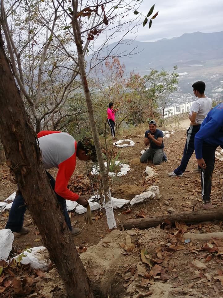 Los cactus y arbustos plantados en el Cerro de la Santa Cruz, en Salamá, Baja Verapaz, fueron robados por desconocidos. (Foto Prensa Libre: Cortesía)
