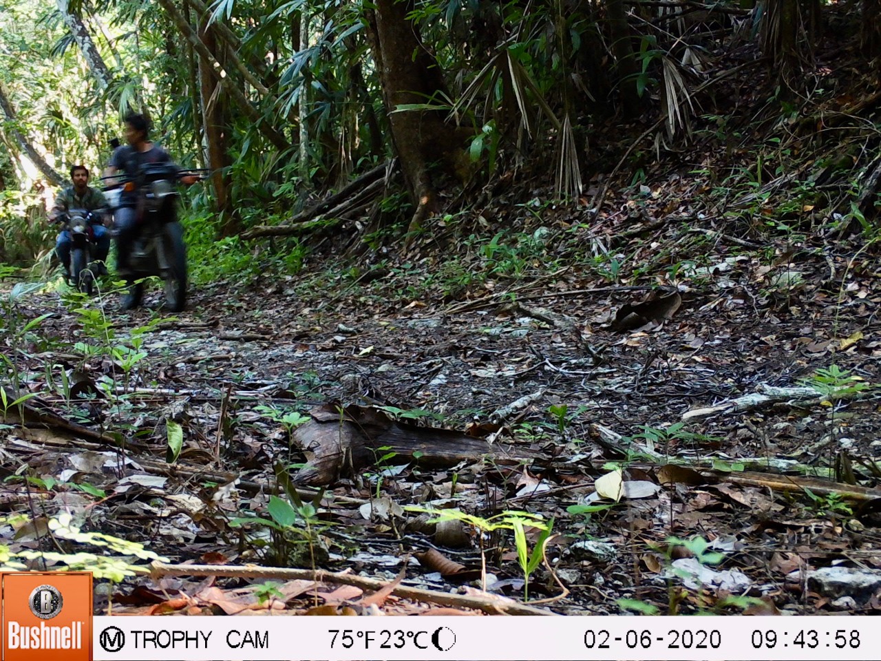 Dos de los tres presuntos cazadores que fueron captados por cámaras trampa a pocos kilómetros del núcleo del Parque Nacional Biotopo Dos Lagunas. (Foto Prensa Libre: Cortesía)