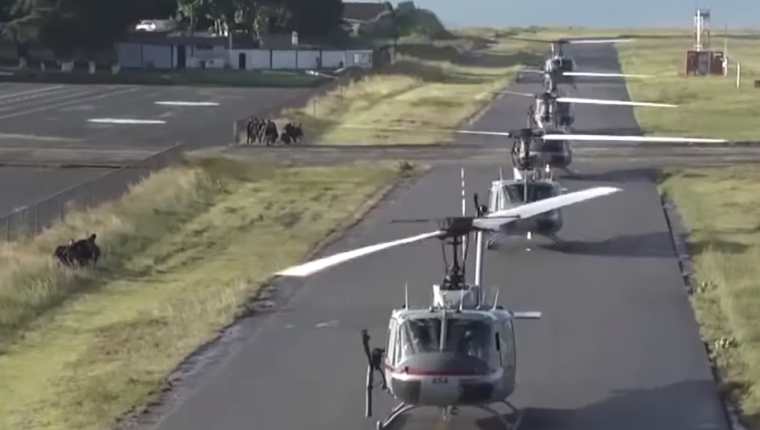 Estos helicópteros fueron donados por el gobierno de Estados Unidos y tienen un valor de US$11 millones. (Foto Prensa Libre: PNC)
