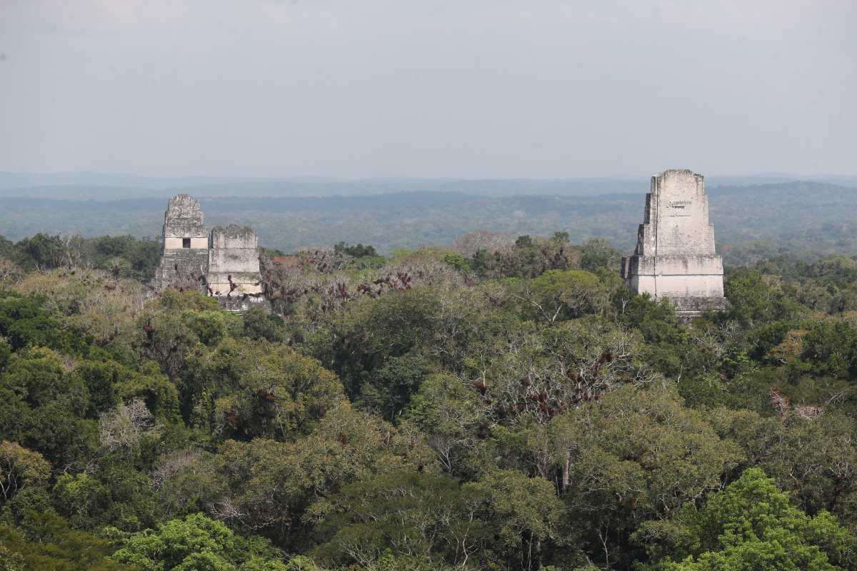 El declive de los mayas fue ocasionado por dos grandes sequías