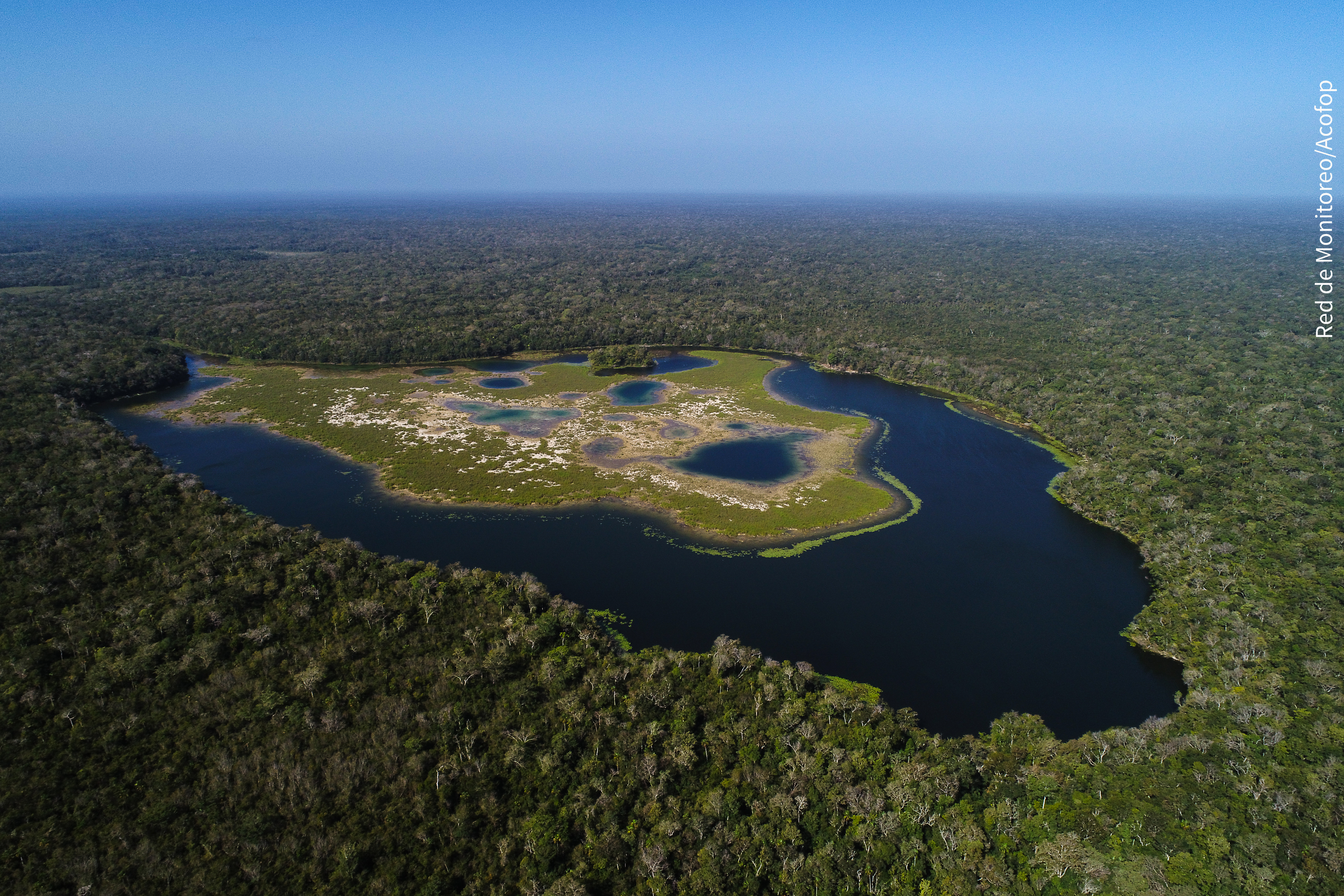 La Reserva de la Biosfera Maya es el hogar de miles de especies, gracias a su riqueza natural. También la habitan comunidades organizadas que protegen los recursos. (Foto Hemeroteca PL)