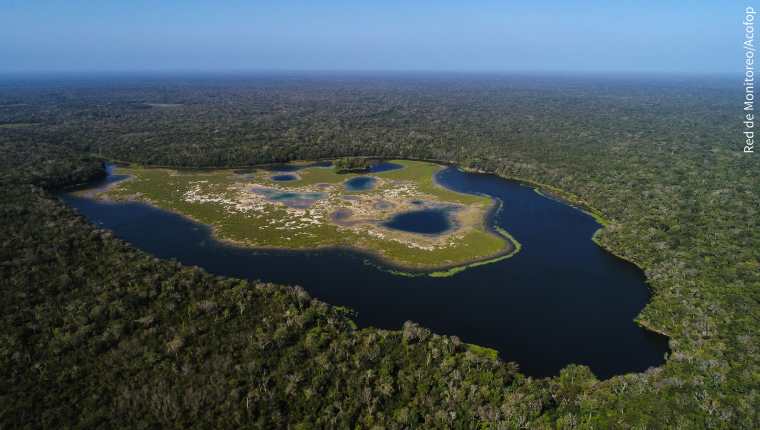 La Reserva de la Biosfera Maya es el hogar de miles de especies, gracias a su riqueza natural. También la habitan comunidades organizadas que protegen los recursos. (Foto Hemeroteca PL)