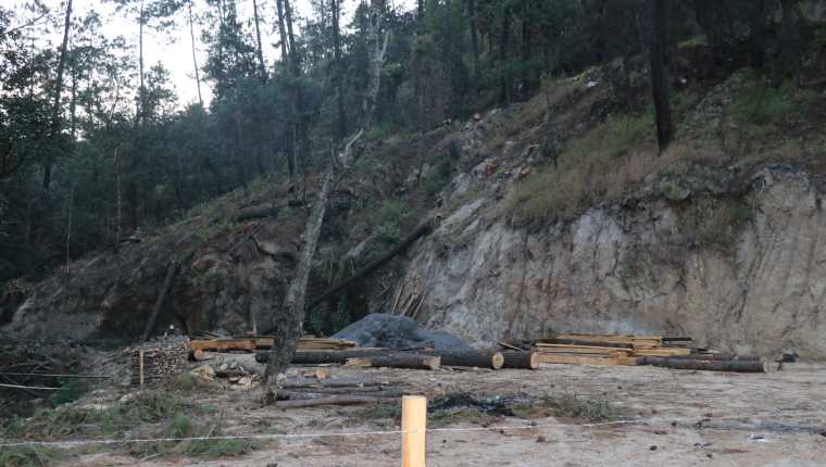 El Inab autorizó al exdiputado Ferdy Elías talar 46 árboles en un área boscosa que en un documento aseguró que era de su propiedad. (Foto Prensa Libre: Héctor Cordero)