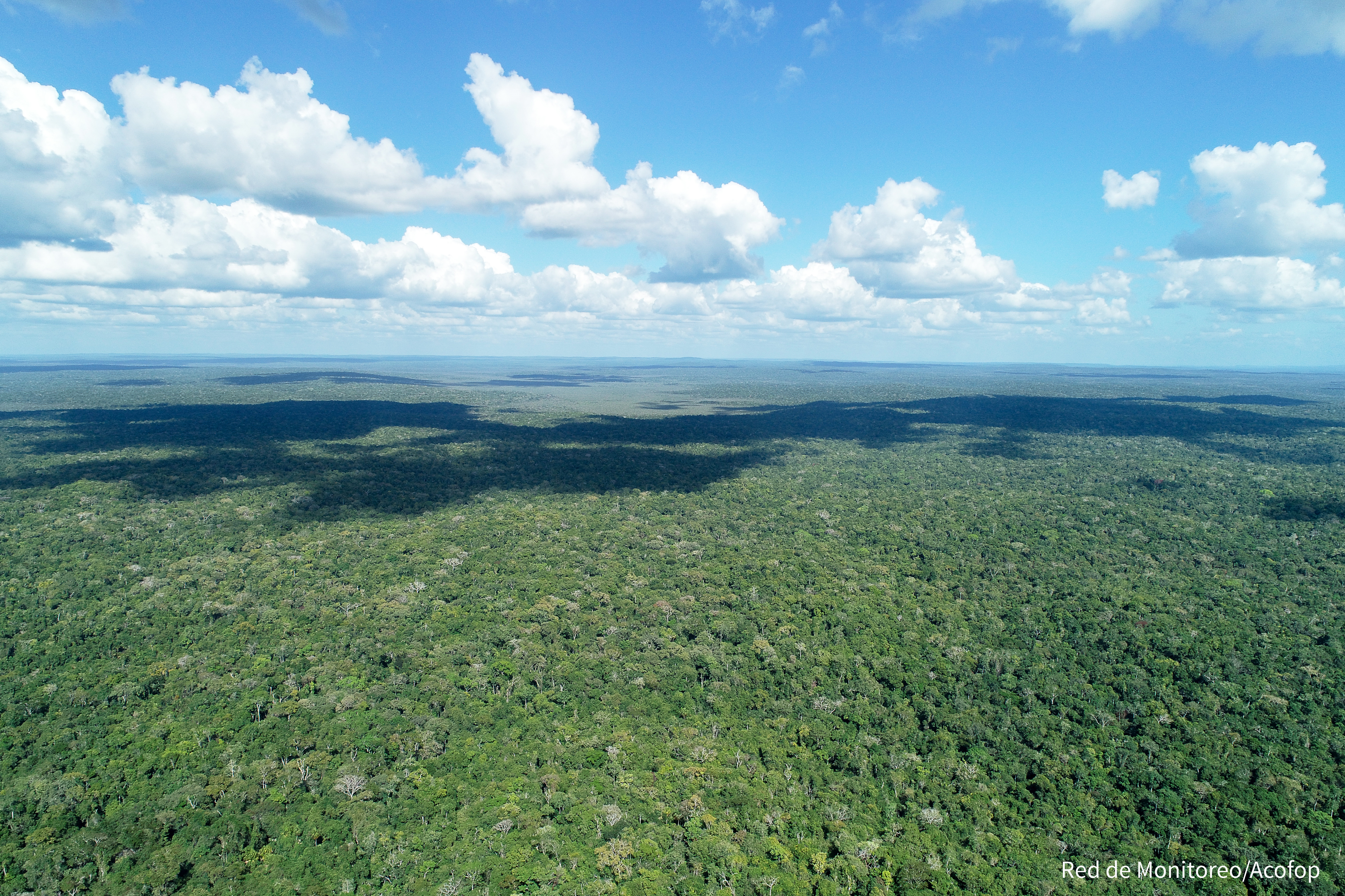 Con 2.2 millones de hectáreas, la Reserva de Biosfera Maya es el área protegida más grande de Mesoamérica. Fotografía Prensa Libre: Acofop