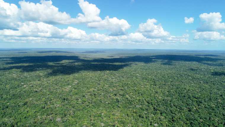 Con 2.2 millones de hectáreas, la Reserva de Biosfera Maya es el área protegida más grande de Mesoamérica. Fotografía Prensa Libre: Acofop