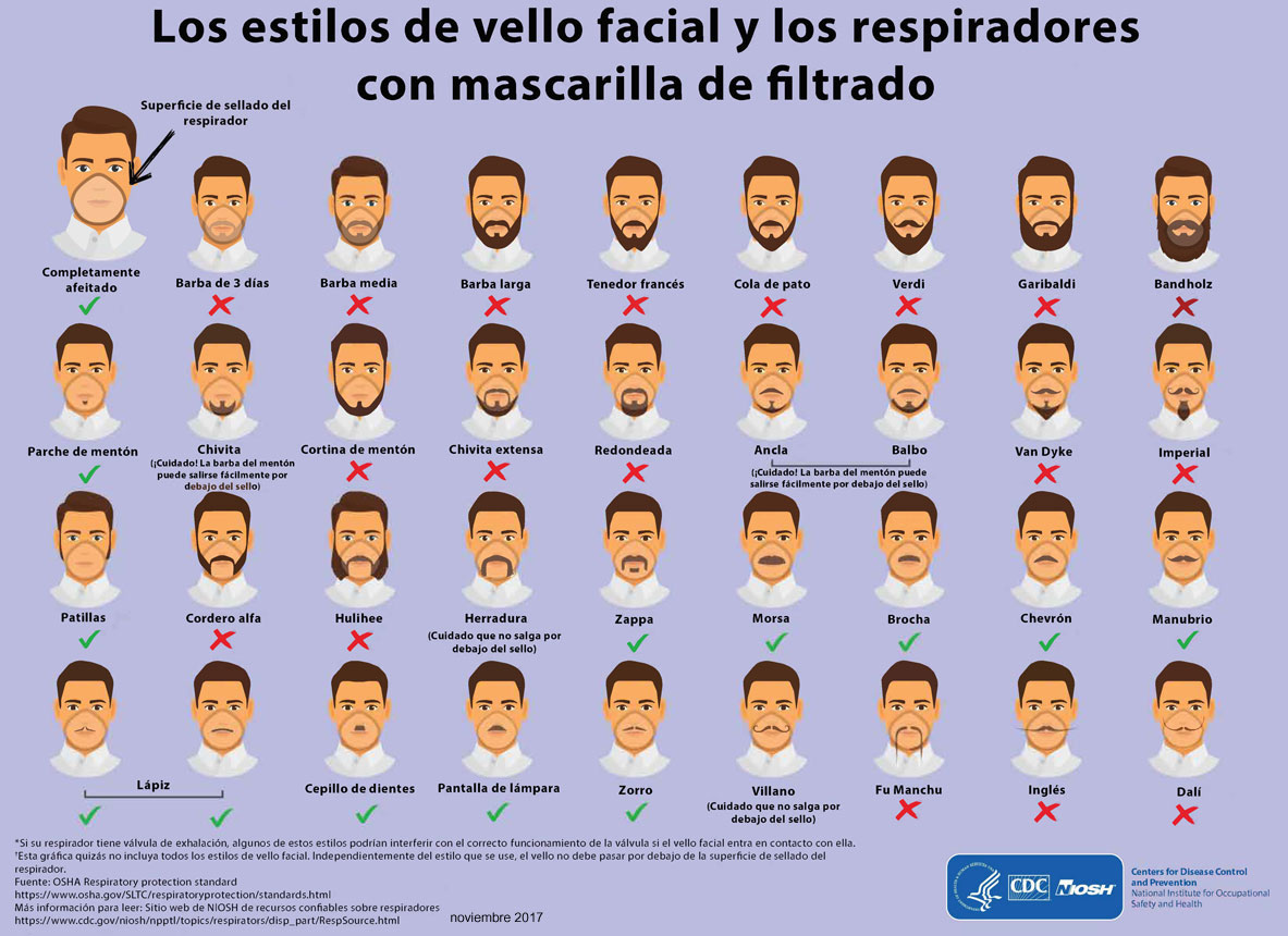 Infografía con tipos de barbas