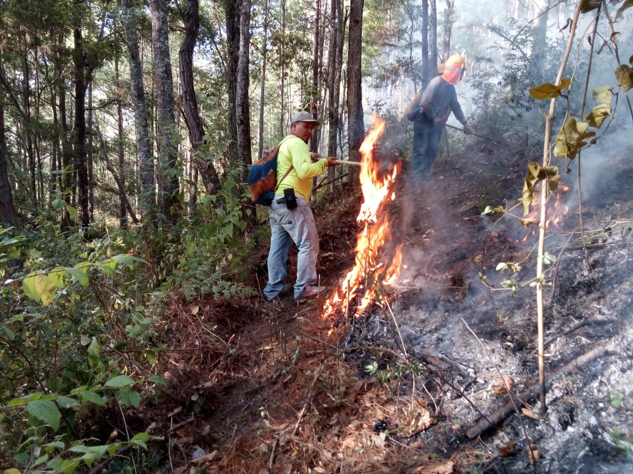 La temporada de incendios forestales aún se encuentra activa, informó Conred. (Foto Prensa Libre: Cortesía)