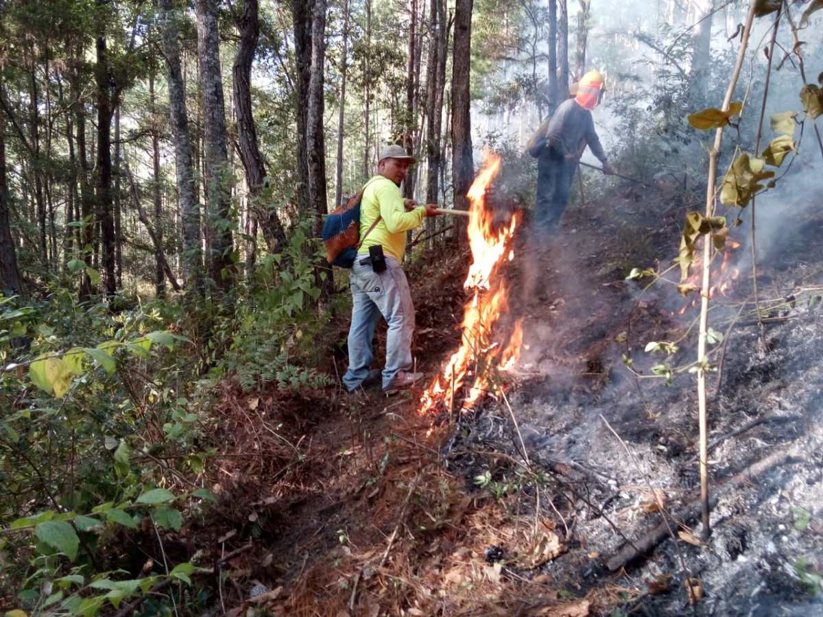 Temporada de incendios en Guatemala continúa activa (217 combatidos y 760 hectáreas afectadas)