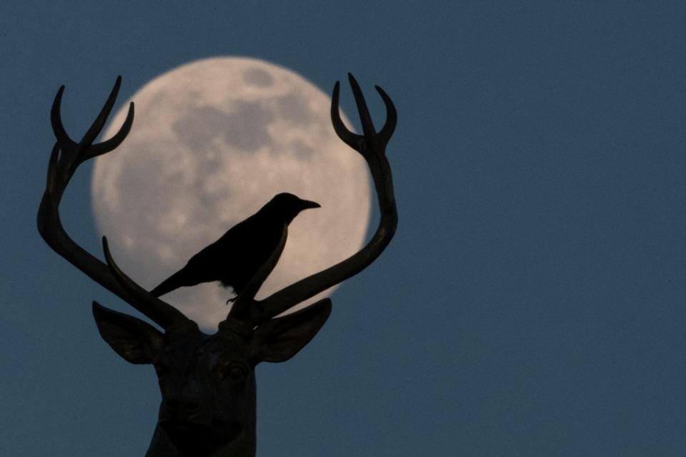 Nuestra Luna ofrecerá un gran espectáculo los próximos lunes y martes. (Foto: AFP)