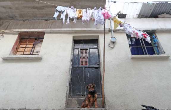 Un perrito cuidaba el ingreso a su vivienda. Foto Prensa Libre: Óscar Rivas
