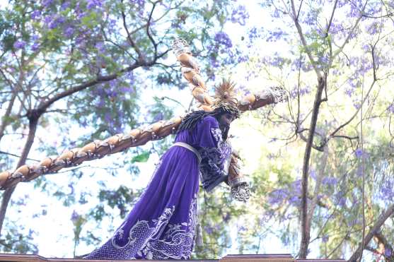 La túnica morada del nazareno se engalana con el color de las jacarandas en el Paseo de la Sexta. Foto Prensa Libre: Óscar Rivas