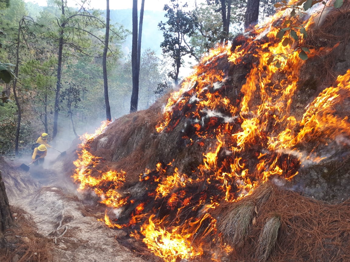 Los incendios forestales entraron en su última etapa (Foto Prensa Libre: cortesía Conred)