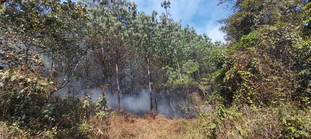 Los incendios forestales arrasas grandes extensiones de bosque cada año en Guatemala. (Foto Prensa Libre: Víctor Chamalé)