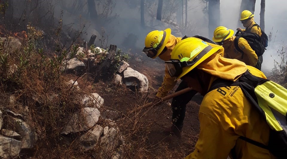 Bomberos forestales apagan un siniestro utilizando la técnica de brechas corta fuegos. (Foto Prensa Libre: Cortesía Conred)
