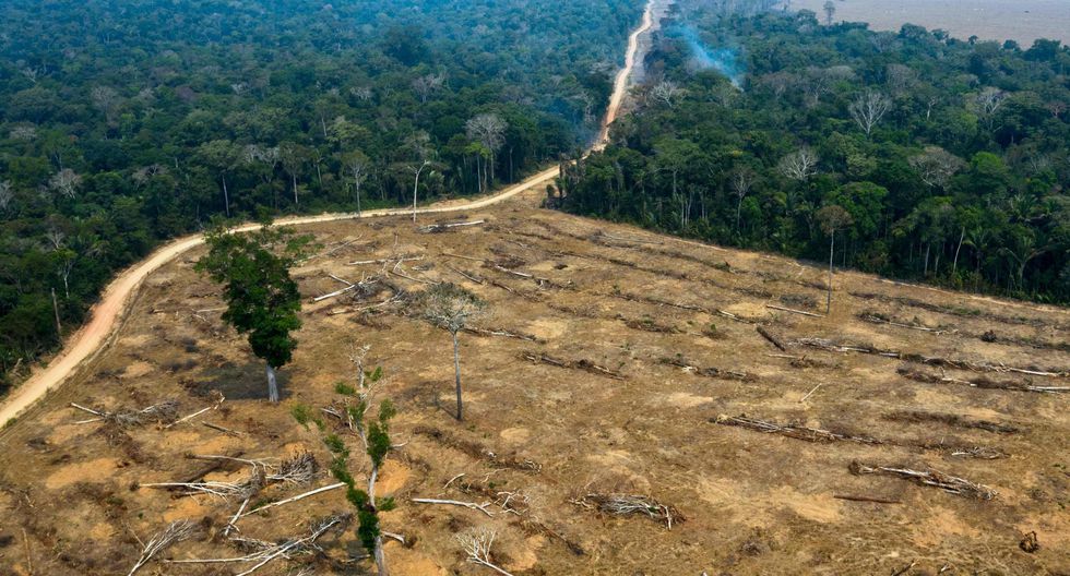 La Amazonía se pierde a un ritmo alarmante. (Foto: AFP)
