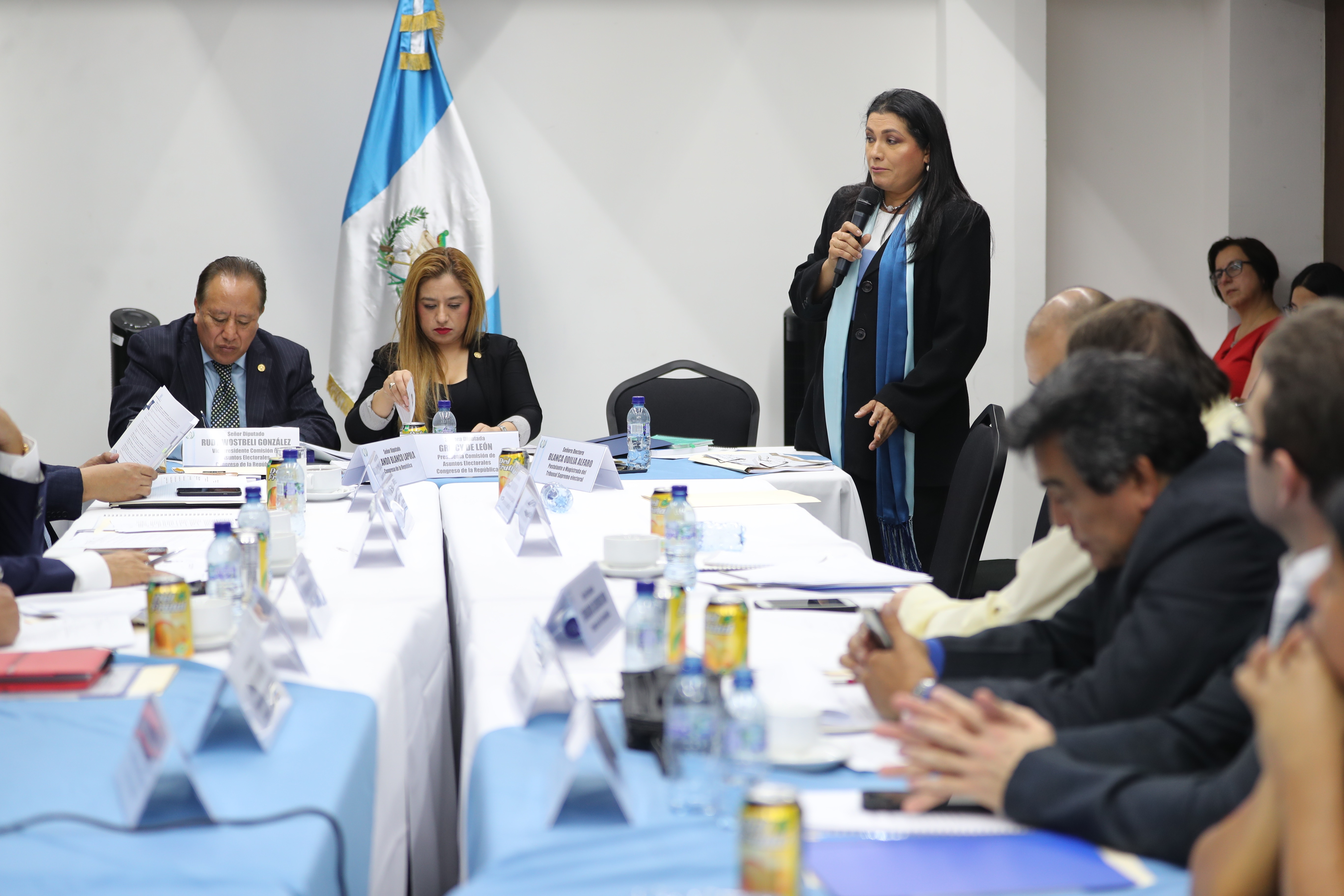 Blanca Olivia Alfaro, candidata a magistrada al TSE presenta su plan de trabajo a la comisin de asuntos Electorales del Congreso de la Repblica (Foto Prensa Libre:  Erick Avila)