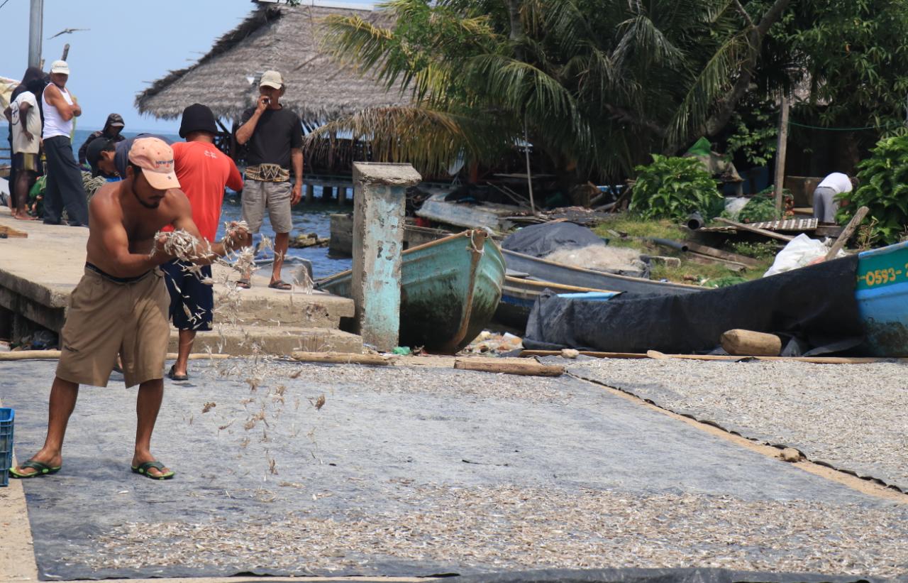En Izabal los pescadores señalan que necesitan apoyo de programas sociales para sobrepasar los tiempos de veda. (Foto Prensa Libre: Dony Stewart)