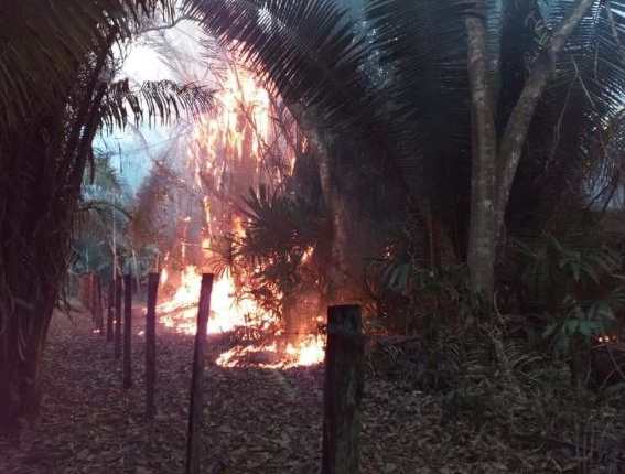 Fuego amenaza el Parque Nacional Yaxhá, en Flores, Petén. (Foto Prensa Libre: Conred). 