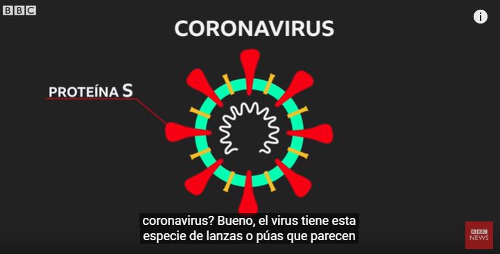 Vacuna del coronavirus.