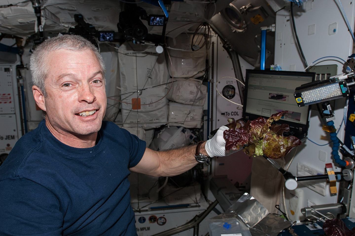 El astronauta de la NASA Steve Swanson con una de las lechugas cultivadas en la ISS. (Foto Prensa Libre: EFE)