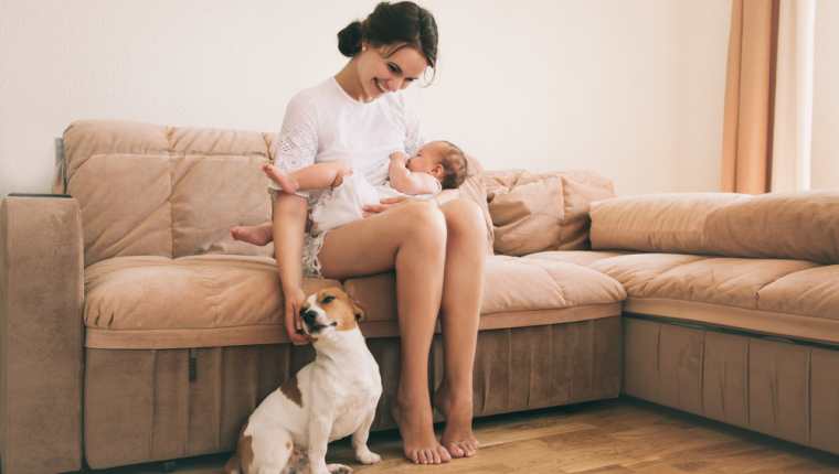 Sí es posible la convivencia entre un bebé y un perro. (Foto Prensa Libre: Servicios).