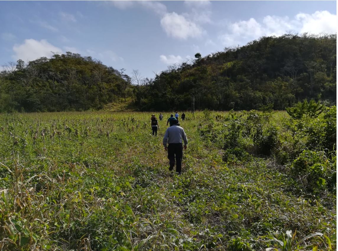 El terreno de gran extensión tiene diversas plantaciones. (Foto Prensa Libre: MP)