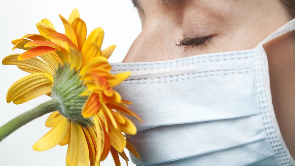 Algunos expertos alertan de que la perdida olfativa sí es un síntoma importante del coronavirus.