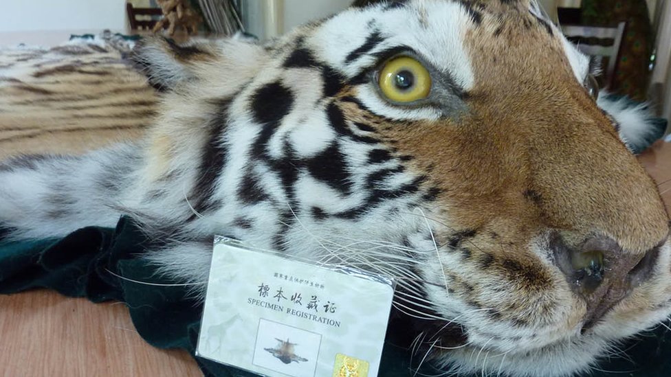 El comercio y consumo de animales silvestres y exóticos es una costumbre milenaria en China. EIA.