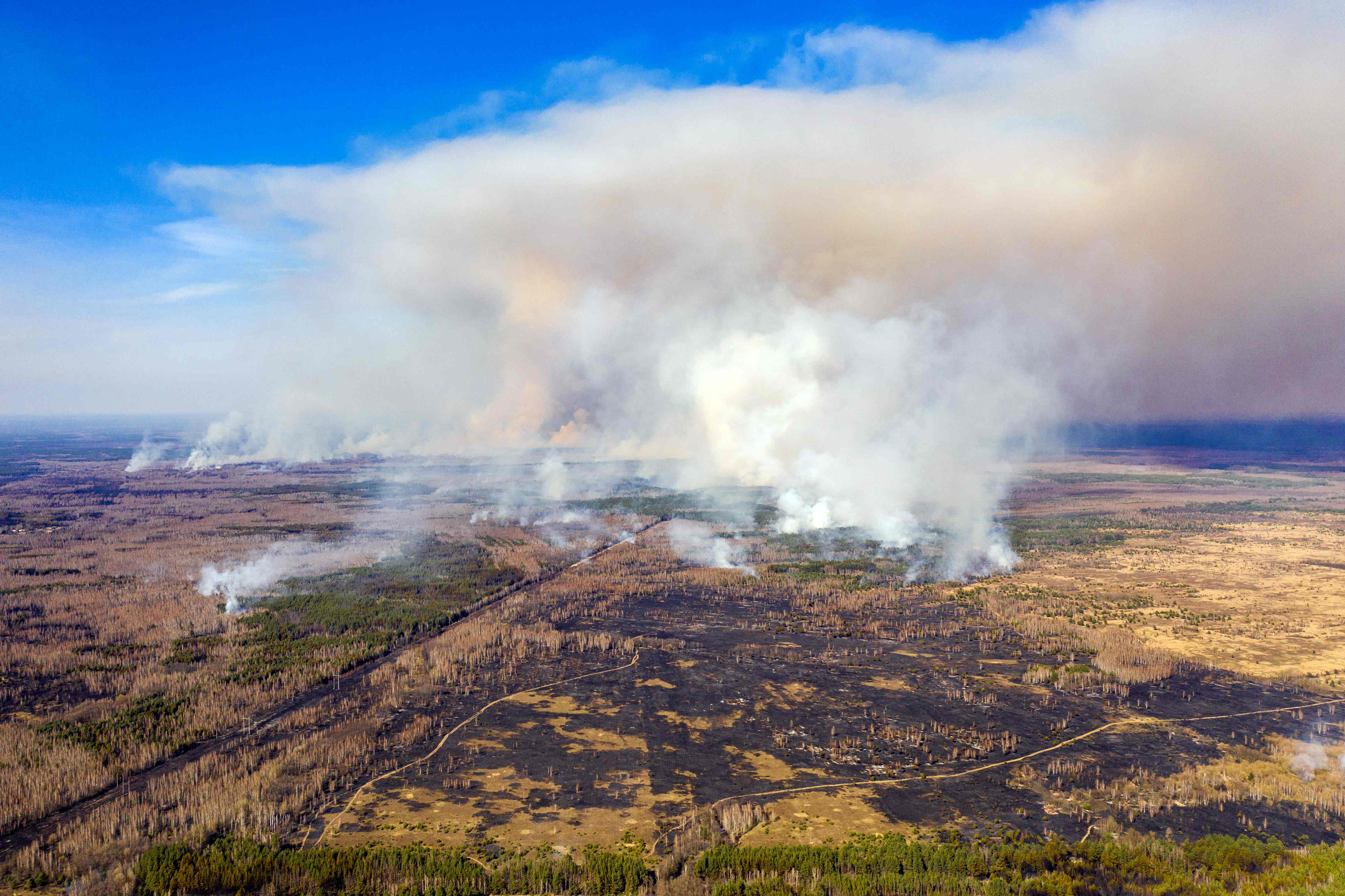 Vista aérea de un área devastada por un incendio cerca de la planta nuclear de Chernobyl. (Foto Prensa Libre: AFP)