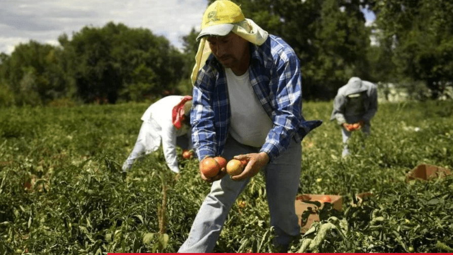 Coronavirus: Las 5 preocupaciones de los agricultores guatemaltecos ante el COVID-19