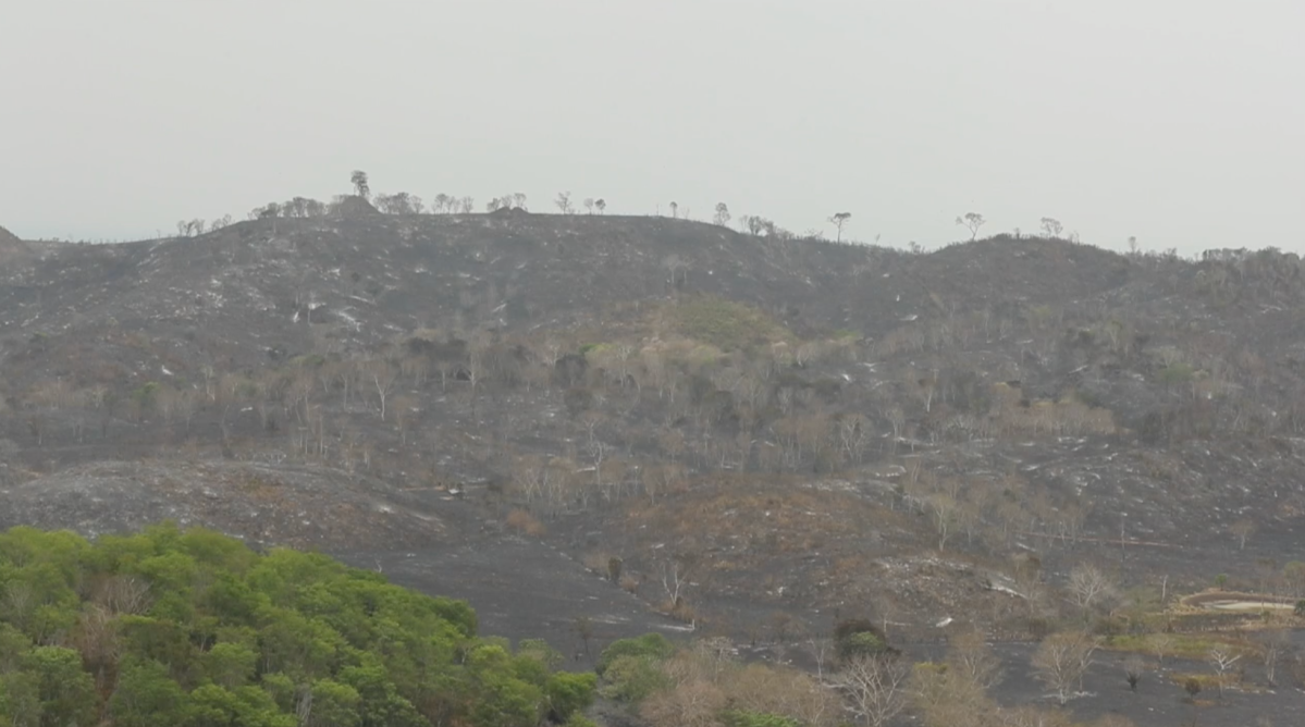 VIDEO: Incendios consumen cientos de hectáreas de bosques en Petén