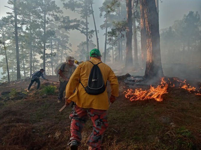 Las altas temperaturas en Petén no contribuyen a combatir los incendios en áreas protegidas. (Foto Prensa Libre: Conap) 