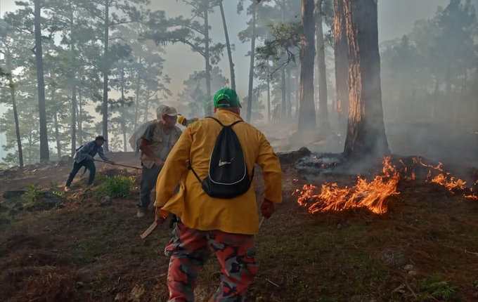Las altas temperaturas en Petén no contribuyen a combatir los incendios en áreas protegidas. (Foto Prensa Libre: Conap) 
