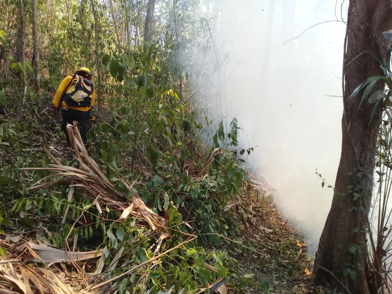 Las autoridades hacen un llamado a la población para que eviten los incendios forestales, pues estos causan serios daños en el medioambiente. (Foto Prensa Libre: Cortesía Conap)