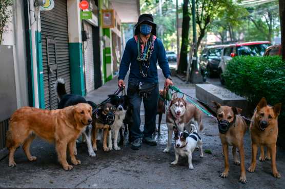  El mexicano Armando García, de 39 años, paseador de perros, posa para una foto en el barrio de La Condesa en la Ciudad de México el 22 de abril de 2020 durante la pandemia del coronavirus COVID-19. Foto Prensa Libre: AFP