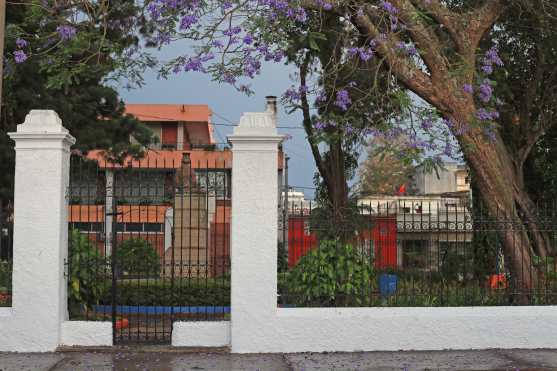 El parque Isabel la Católica, en la zona 1, nos muestra una acera con el color de las Jacarandas y la acera mojada por la lluvia. Foto Prensa Libre: Óscar Rivas