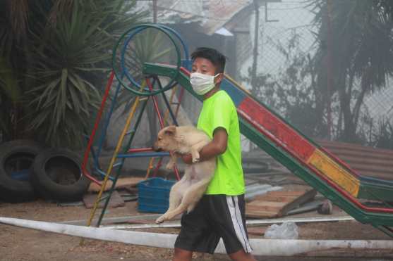 Algunos menores salvaron a sus mascotas y los llevaron a otro lugar. Foto Prensa Libre: Óscar Rivas