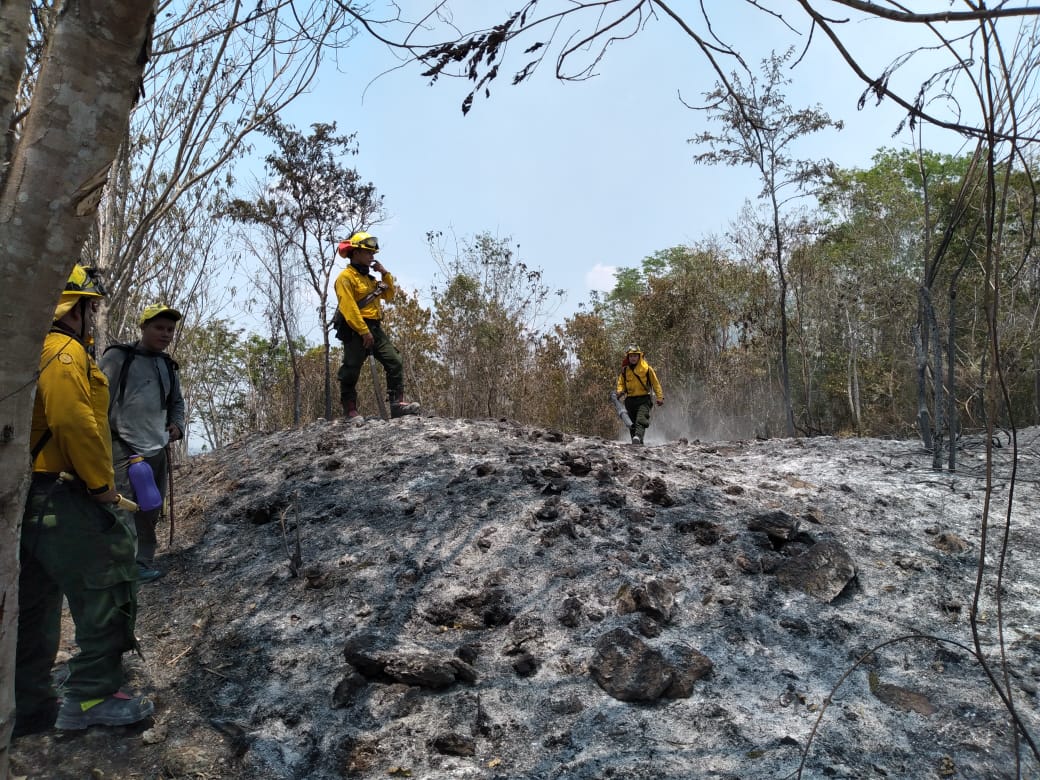 Los incendios forestales dejan daños incalculables en los bosques, donde la flora y fauna se ven “seriamente” afectadas. (Foto Prensa Libre: Conap)