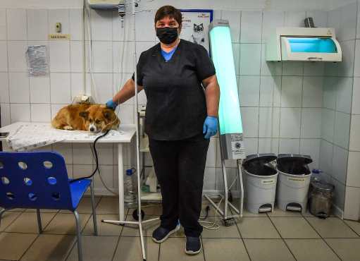  La rusa Olga Sokolova, cirujana veterinaria, posa para una foto junto a su paciente canina en la clínica veterinaria "ZooAcademy" en Moscú el 21 de abril de 2020, durante un estricto cierre para detener la propagación del coronavirus COVID-19. Foto Prensa Libre: AFP