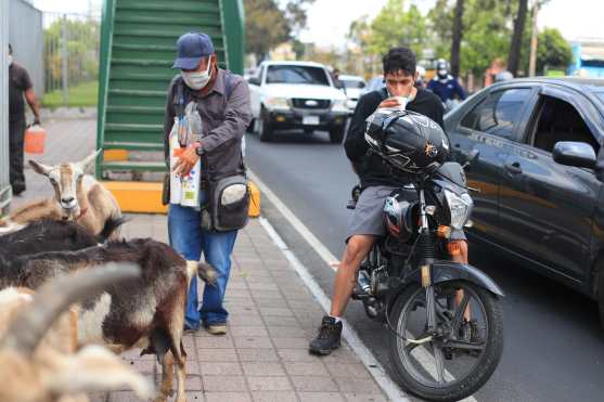 Carlos, un motorista de Villa Nueva, paró para comprar un vaso de leche de cabra mientras esperaba en la calzada Aguilar Batres. Foto Prensa Libre: Óscar Rivas