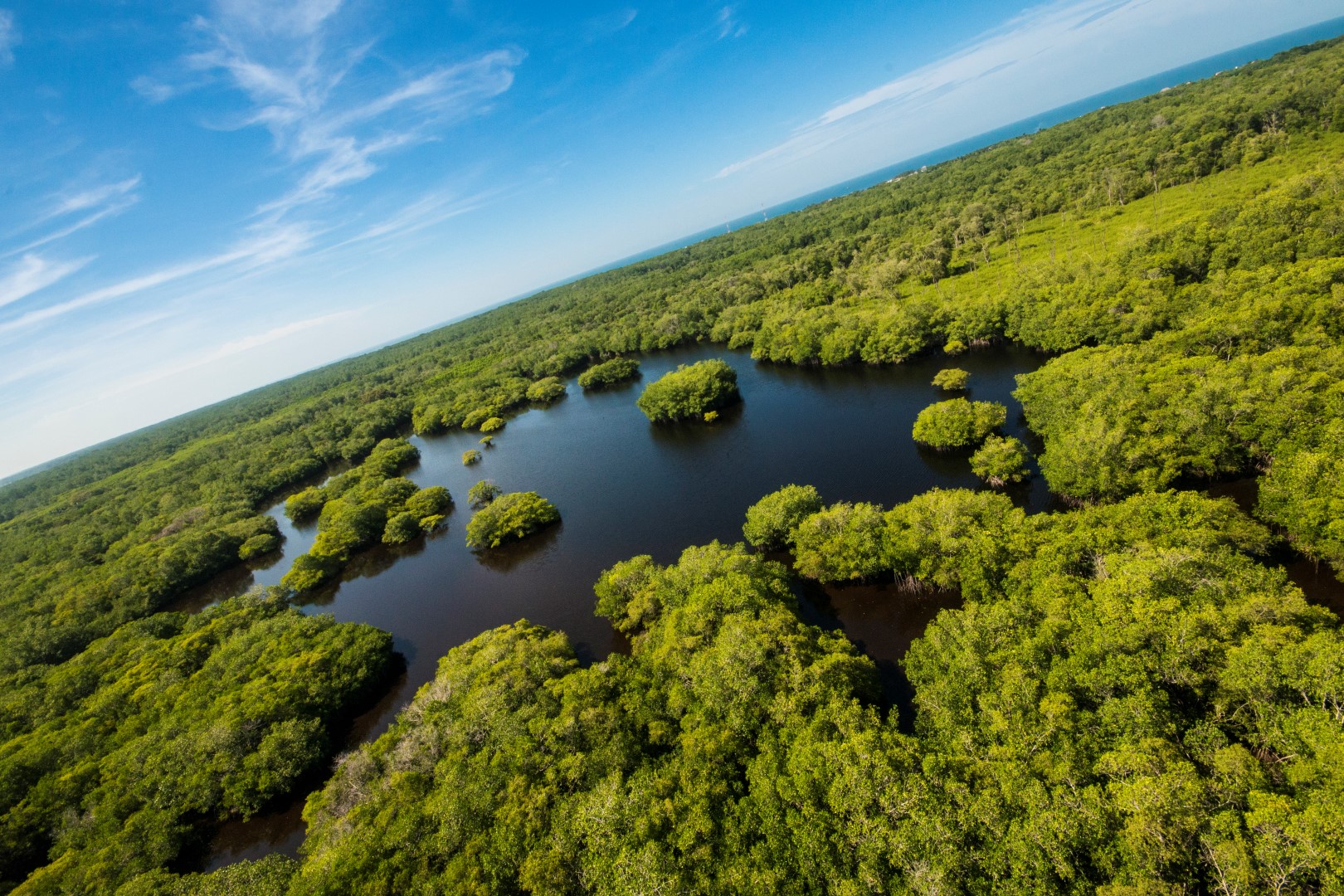 Guatemala posee innumerables recursos naturales, como los manglares de Monterrico, Santa Rosa. (Foto Prensa Libre. Cortesía Sergio Izquierdo)