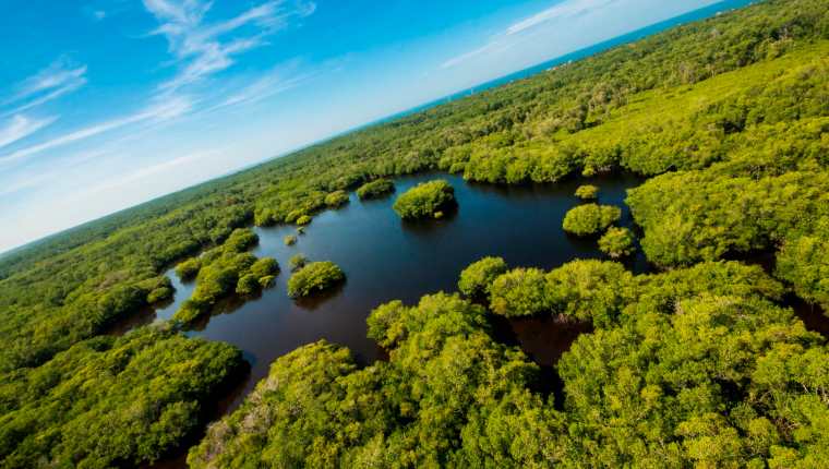 Guatemala posee innumerables recursos naturales, como los manglares de Monterrico, Santa Rosa. (Foto Prensa Libre. Cortesía Sergio Izquierdo)
