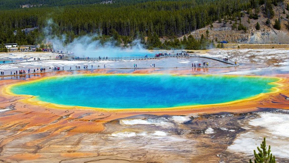 Los manantiales termales de Yellowstone albergan microorganismos capaces de vivir en condiciones extremas. Foto:Getty Images