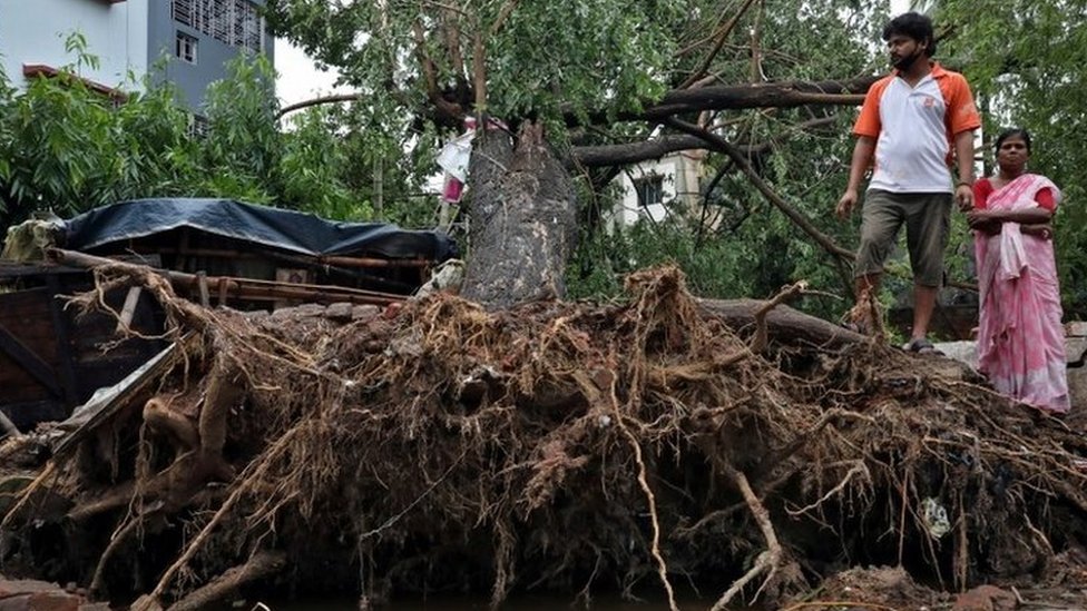 El súper ciclón Amphan arrancó árboles y provocó innumerables de destrozos por su paso por India y Bangladés. REUTERS