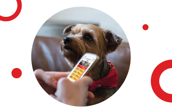 Nuevo pozo del Mega Millions alcanza los Q2,5 mil millones.